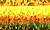 028L Very Fine (#4) Braid